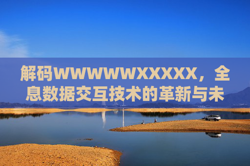 解码WWWWWXXXXX，全息数据交互技术的革新与未来