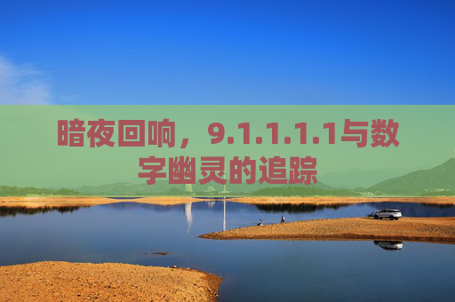 暗夜回响，9.1.1.1.1与数字幽灵的追踪