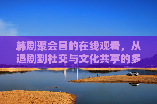 韩剧聚会目的在线观看，从追剧到社交与文化共享的多元价值