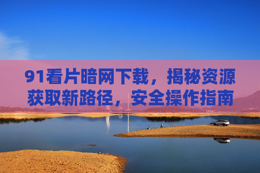91看片暗网下载，揭秘资源获取新路径，安全操作指南