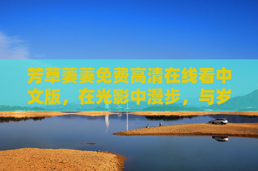 芳草萋萋免费高清在线看中文版，在光影中漫步，与岁月共鸣的诗意之旅