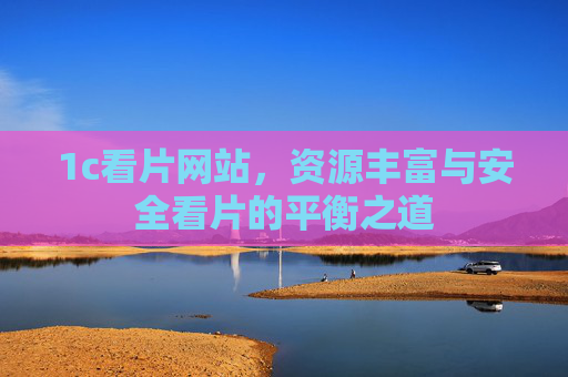 1c看片网站，资源丰富与安全看片的平衡之道