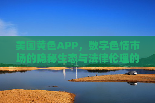 美国黄色APP，数字色情市场的隐秘生态与法律伦理的严苛监管——从内容泛滥到合规风暴的演变