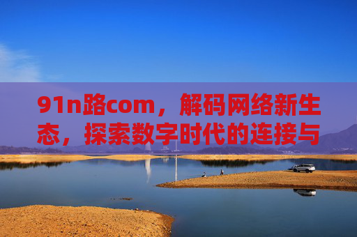 91n路com，解码网络新生态，探索数字时代的连接与机遇