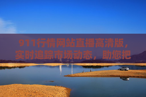 911行情网站直播高清版，实时追踪市场动态，助您把握投资先机