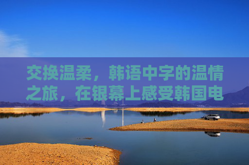 交换温柔，韩语中字的温情之旅，在银幕上感受韩国电影的细腻与感动
