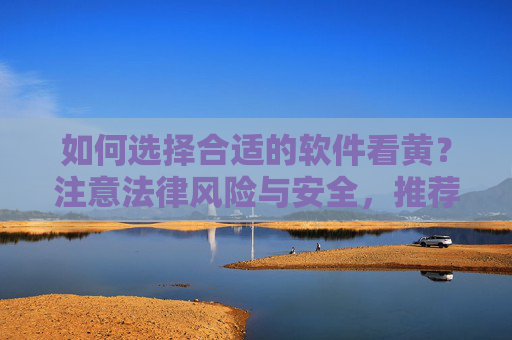 如何选择合适的软件看黄？注意法律风险与安全，推荐正规平台及使用技巧