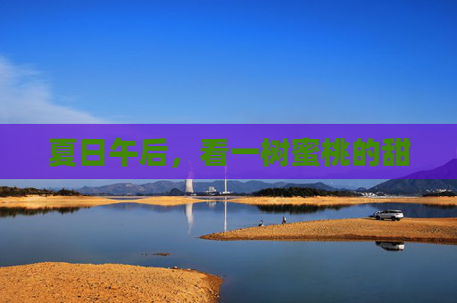 夏日午后，看一树蜜桃的甜