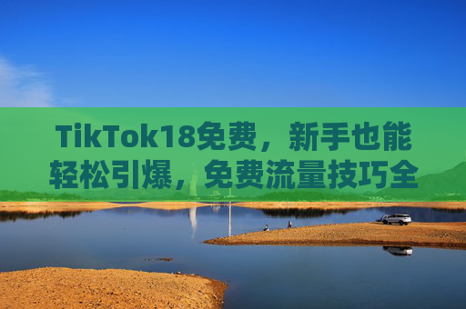 TikTok18免费，新手也能轻松引爆，免费流量技巧全解析