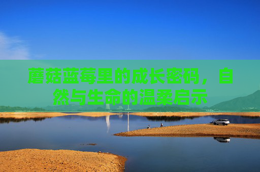 蘑菇蓝莓里的成长密码，自然与生命的温柔启示