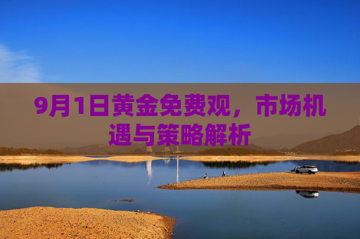 9月1日黄金免费观，市场机遇与策略解析