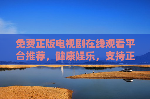 免费正版电视剧在线观看平台推荐，健康娱乐，支持正版