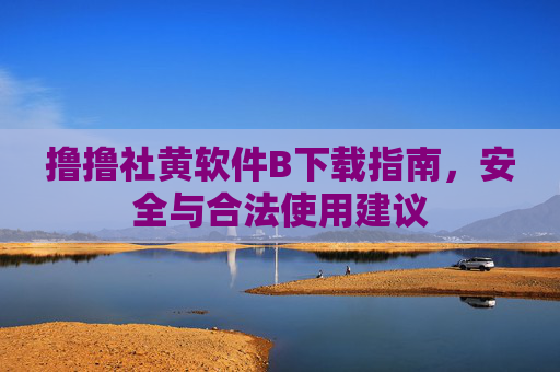 撸撸社黄软件B下载指南，安全与合法使用建议