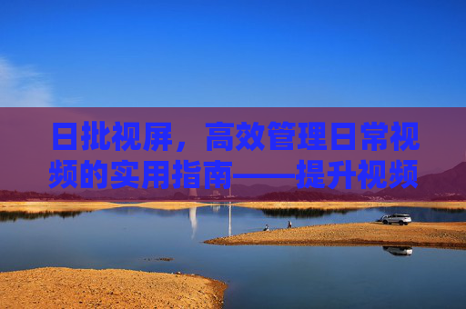 日批视屏，高效管理日常视频的实用指南——提升视频处理效率的日常利器