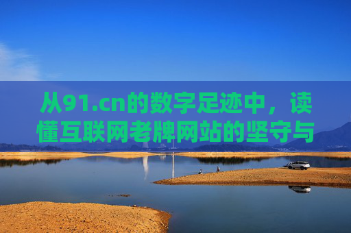 从91.cn的数字足迹中，读懂互联网老牌网站的坚守与传承