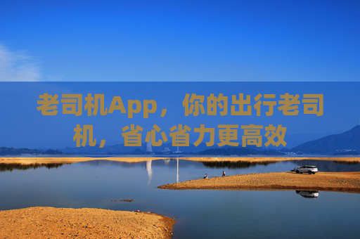 老司机App，你的出行老司机，省心省力更高效