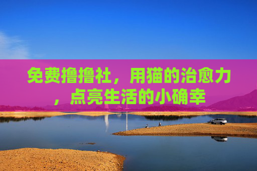 免费撸撸社，用猫的治愈力，点亮生活的小确幸
