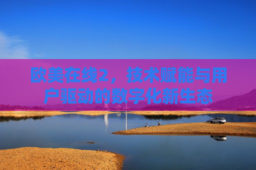 欧美在线2，技术赋能与用户驱动的数字化新生态