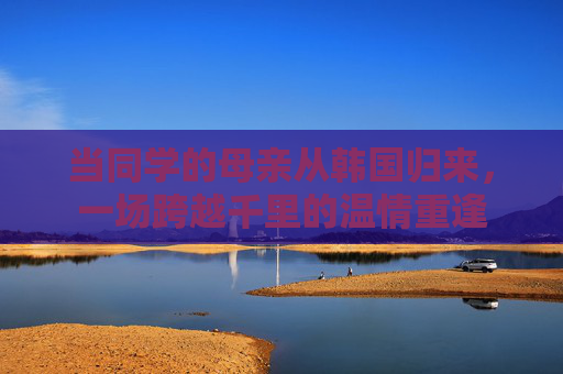当同学的母亲从韩国归来，一场跨越千里的温情重逢