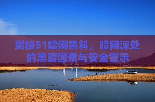 揭秘51暗网黑料，暗网深处的黑暗图景与安全警示