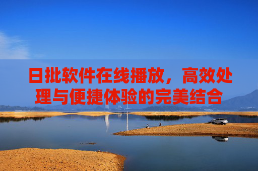 日批软件在线播放，高效处理与便捷体验的完美结合