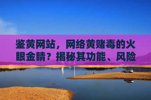 鉴黄网站，网络黄赌毒的火眼金睛？揭秘其功能、风险与法律边界