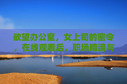 欲望办公室，女上司的密令，在线观看后，职场暗流与权力博弈的惊险游戏