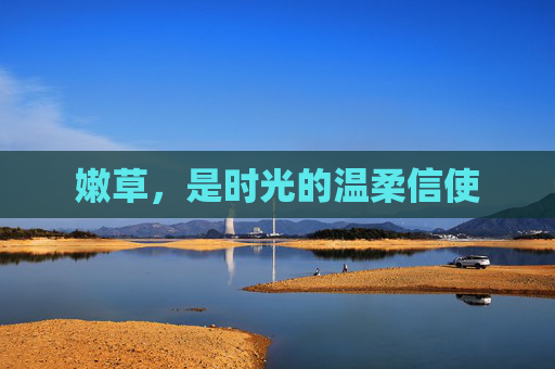 嫩草，是时光的温柔信使