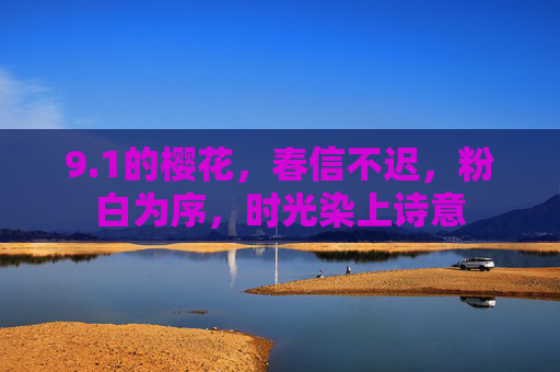 9.1的樱花，春信不迟，粉白为序，时光染上诗意