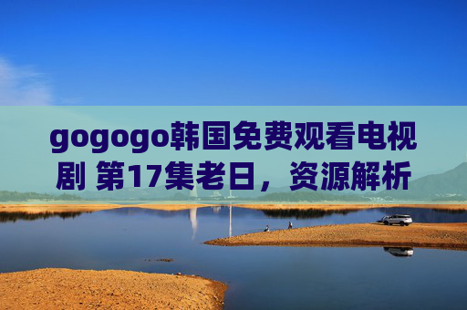 gogogo韩国免费观看电视剧 第17集老日，资源解析与观看体验全攻略