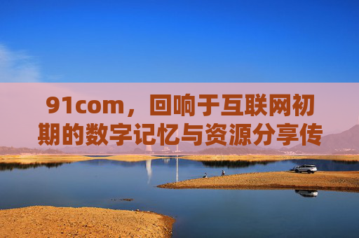 91com，回响于互联网初期的数字记忆与资源分享传奇