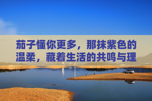 茄子懂你更多，那抹紫色的温柔，藏着生活的共鸣与理解
