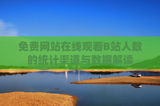免费网站在线观看B站人数的统计渠道与数据解读