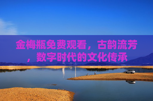 金梅瓶免费观看，古韵流芳，数字时代的文化传承