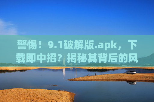 警惕！9.1破解版.apk，下载即中招？揭秘其背后的风险与真相