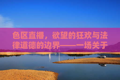 色区直播，欲望的狂欢与法律道德的边界——一场关于色区直播的深度剖析