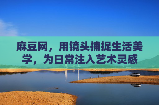 麻豆网，用镜头捕捉生活美学，为日常注入艺术灵感