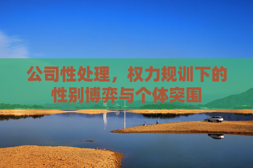 公司性处理，权力规训下的性别博弈与个体突围