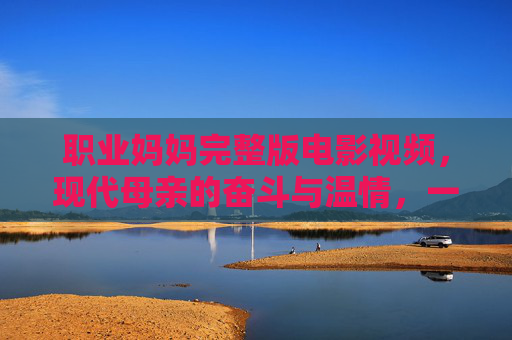职业妈妈完整版电影视频，现代母亲的奋斗与温情，一部触动心灵的职场家庭双线叙事佳作