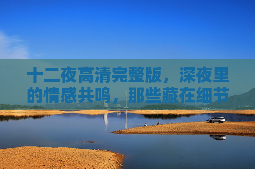 十二夜高清完整版，深夜里的情感共鸣，那些藏在细节里的温暖与遗憾