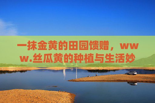 一抹金黄的田园馈赠，www.丝瓜黄的种植与生活妙用