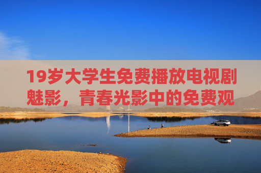 19岁大学生免费播放电视剧魅影，青春光影中的免费观影新实践