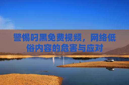 警惕叼黑免费视频，网络低俗内容的危害与应对