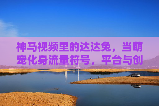 神马视频里的达达兔，当萌宠化身流量符号，平台与创作者的互动密码