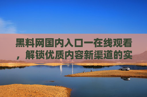 黑料网国内入口一在线观看，解锁优质内容新渠道的实用指南
