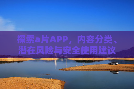 探索a片APP，内容分类、潜在风险与安全使用建议