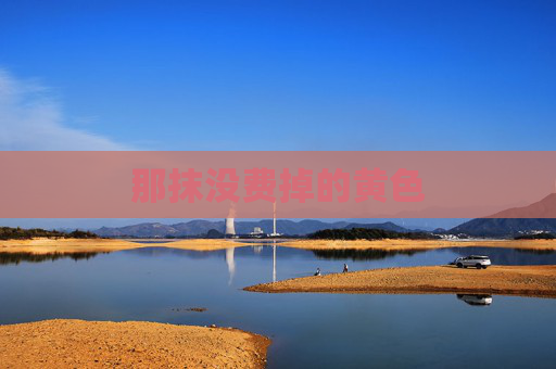 那抹没费掉的黄色