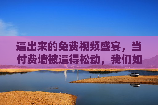 逼出来的免费视频盛宴，当付费墙被逼得松动，我们如何轻松享受不花钱的视听乐趣？