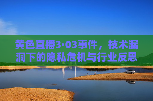 黄色直播3·03事件，技术漏洞下的隐私危机与行业反思