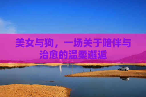 美女与狗，一场关于陪伴与治愈的温柔邂逅